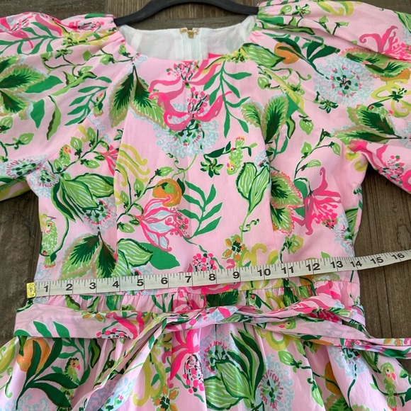 Lilly Pulitzer Knoxlie Dress size 4 NWT - Picture 6 of 8